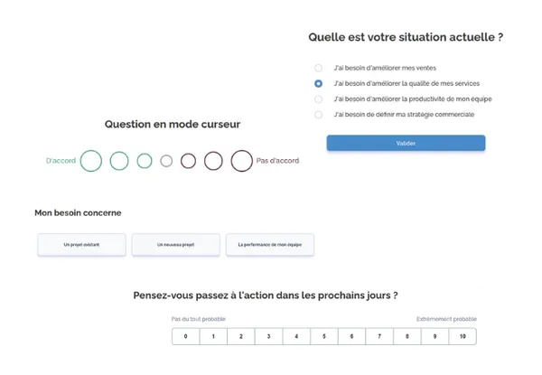 SmartScore — Questionnaire et rapport PDF sur mesure — Capture d'écran 2