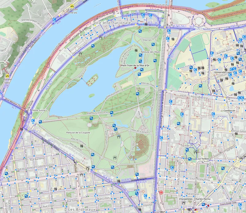 Couche Cyclable OpenStreetMap : pistes et routes cyclables colorées