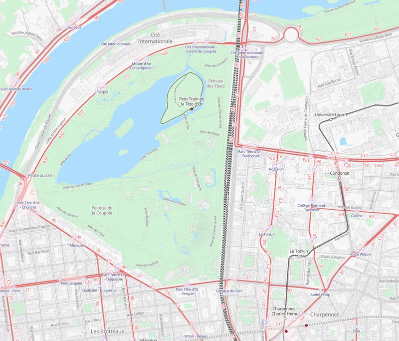 Couche Transport OpenStreetMap : lignes de bus et tramway en rouge sur fond épuré
