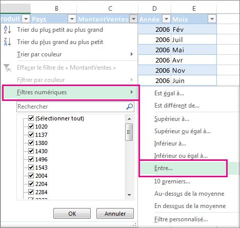 Filtrer les colonnes d'un fichier Excel