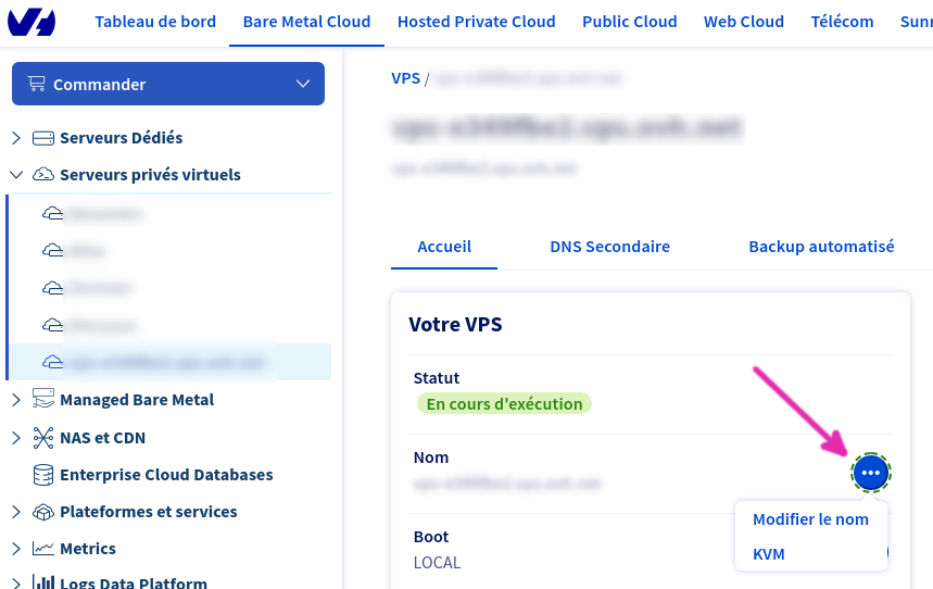 Changement du nom du VPS depuis OVH Manager