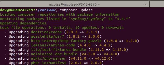 Composer update symfony